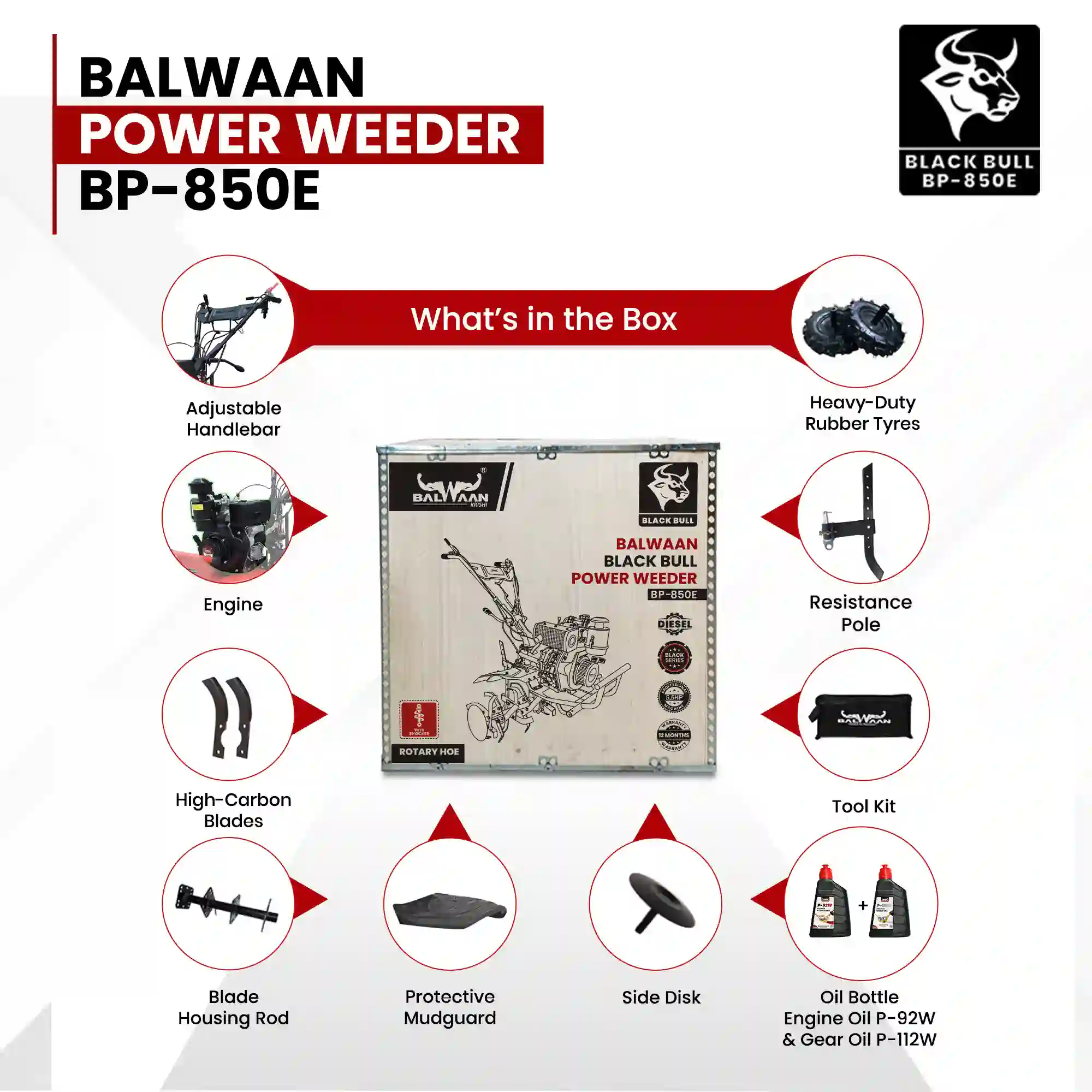 6_(2)4.webp